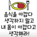 팡팡점핑쉬운다이어트