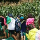 김현준농장 이미지