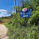 화림지맥1구간(도계2리~서항목재~포대산~국사봉~독점고개~321.6봉 갈림길 임도탈출)19.1km 이미지