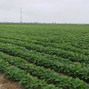 충주종합유통 이미지