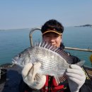 해성낚시터 이미지