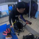 머메이드다이빙 펀펀다이브 클럽 서울 머메이드 강습 추천