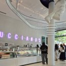 아노스 | 스페인 바르셀로나 아이스크림 줄서는 젤라또 맛집 루치아노스 후기 시식방법 Lucciano's gelato