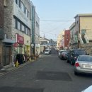 숲아이래쉬
