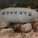 유림-8 Daum카페