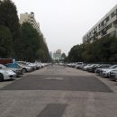 압구정-117 이미지