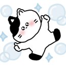 몽글몽글PET 이미지