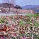 내연산 온천호텔 이미지