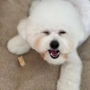 그룸 앤 먼치 이미지