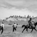 카우보이 이미지