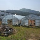 홍천군남면시동보건진료소 이미지