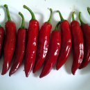 대화초등학교 이미지