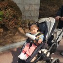 (유)드림렌터카 주사무소 | 내돈내산)에이블 유모카 솔직 후기