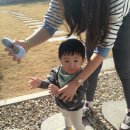 펜션아이리 이미지