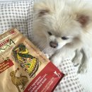 장땡치킨 | 카르나4 치킨 기호성 좋은 강아지 사료 추천 내돈내산 후기