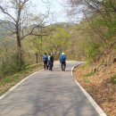 충주호체험 이미지