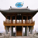 비데랜드 이미지