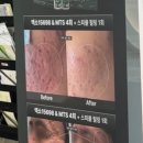 원신흥로 이미지