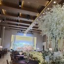 대전제일교회 앞 | W04. 대전 웨딩홀 투어 | 라도무스 투어 후기 ( 견적 공유 가능)