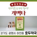 호두약국 이미지