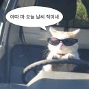 씨유 여수소호점 | 오늘의 선택이 내일의 스포일러