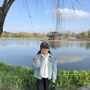 정림사지박물관 | 부여 가볼만한곳 총정리! 정림사지 박물관 궁남지 황포돛배 리얼후기