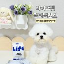 펫라이프 | 강아지 종합영양제, [라이프펫] 멀티밸런스 후기