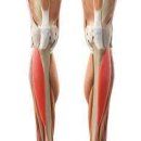 마디움한의원 이미지