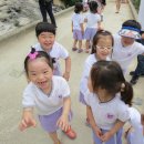 평리유치원 이미지