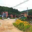 알투스 | 강원도홍천여행 알투스펜션 숙박후기