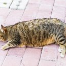 삼송동물병원 이미지