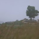 번개목장 이미지