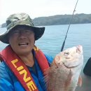 • A huge Snapper^ 이미지
