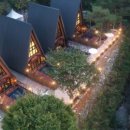 별을 담은 숲 이미지