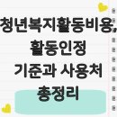 비비유흥주점 | 청년복지활동비용, 활동인정 기준과 사용처 총정리