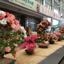 자유시장B-2 이미지