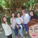 한솔농장 이미지