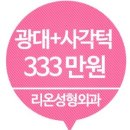 리온 메디 이미지