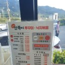 동굴 낙지와 쭈꾸미 이미지