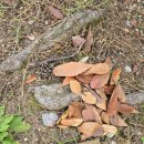 죽전체육공원 이미지