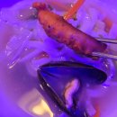 대포횟집 | 해산물 싫어하는 나도 맛있게 먹은 집! 인천시청 근처 간석동 대왕대포 횟집 솔직후기