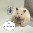 씽씽탁구(오후) | 10月) 내 10월을 돌려줘