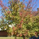 어질농장 이미지