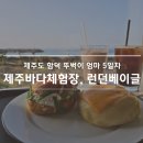 제주 함덕 2주살기 5일차｜아이랑 뚜벅이로 제주바다체험장·런던베이글 제주 후기