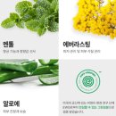등드름 고민 끝! 골든매치스 남자 퍼퓸 올인원 바디워시 솔직 후기 (오션블루향 효과까지)