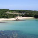 신국제약국 이미지