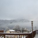 리운산장