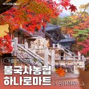 불국사 이미지