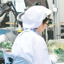 성창환경개발 이미지
