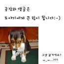 선희네분식 - 고성군 동외로167번길 31 | 선희네분식